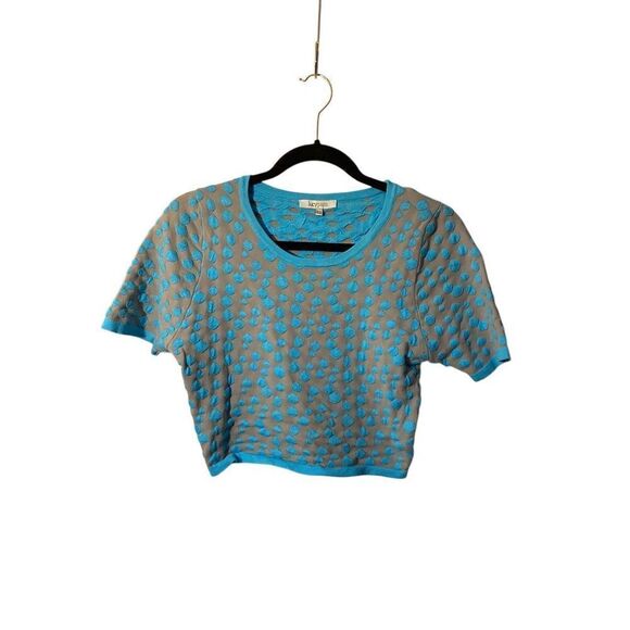 Lucy Paris, gray and blue polkadot, net, short sleeve, sweater, size large - Picture 2 of 3